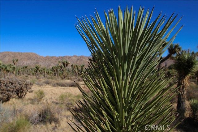 7000 Kickapoo Trail, Yucca Valley, California 92284, ,Land,For Sale,7000 Kickapoo Trail,CRJT23196691