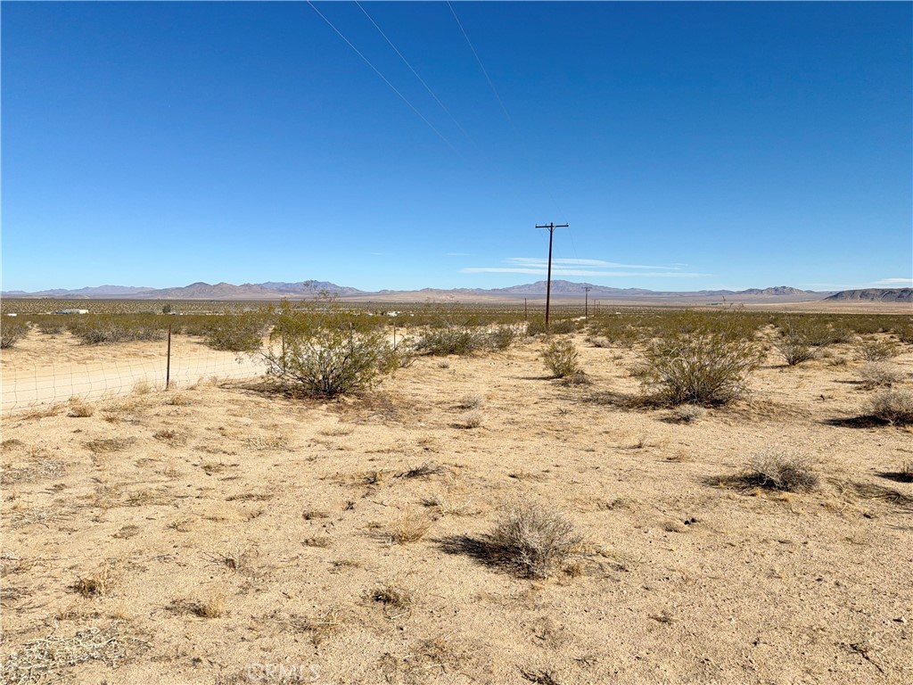 MLS #JT25208342 image #15