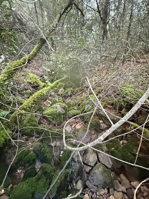 Detail Gallery Image 9 of 20 For 0 Rex Lane, Oroville,  CA 95966 - – Beds | – Baths