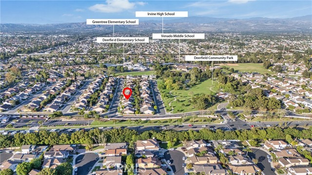 Image 38 of 42 For 6 Blazing Star