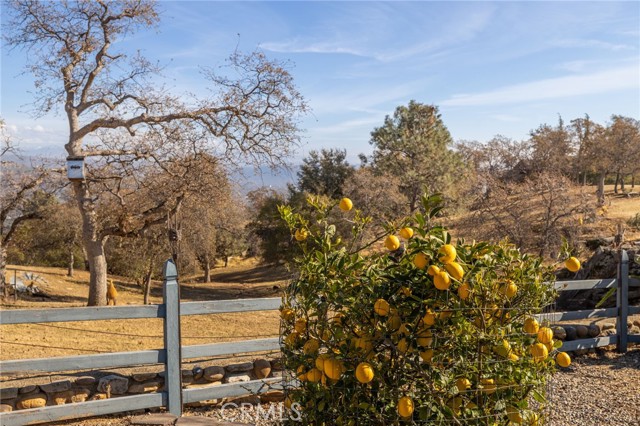 Detail Gallery Image 45 of 68 For 41761 John Muir Dr, Coarsegold,  CA 93614 - 3 Beds | 2 Baths