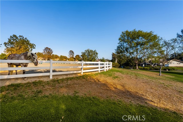 Detail Gallery Image 54 of 74 For 7419 E Calico Trl, Orange,  CA 92869 - 4 Beds | 3 Baths