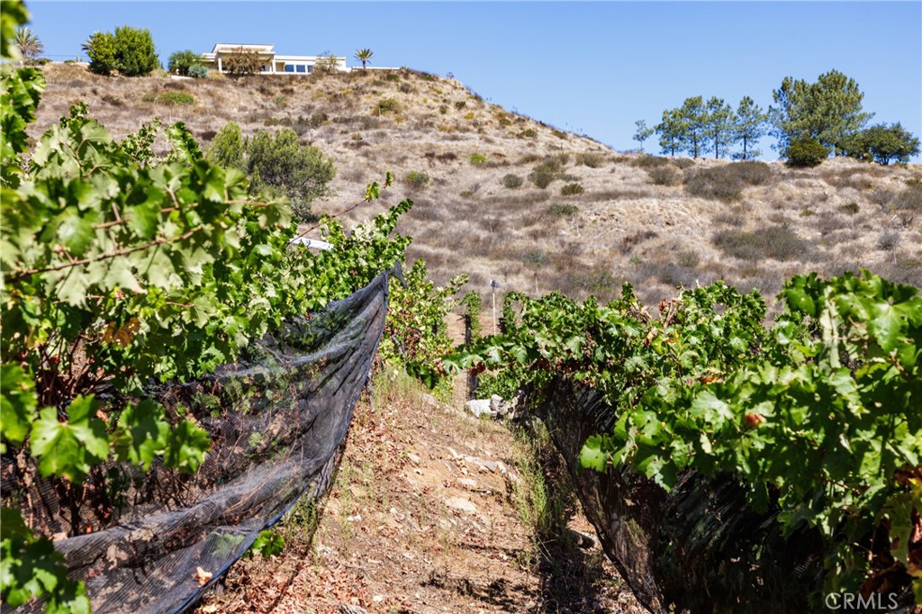 MLS #OC25023879 image #67