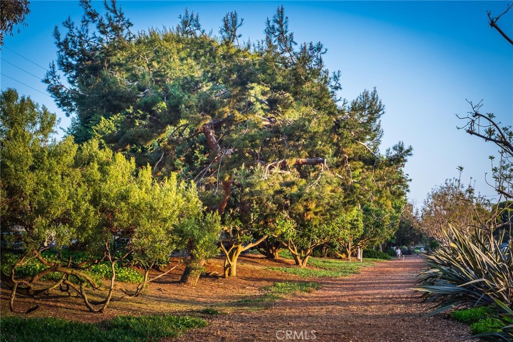 https://media.crmls.org/medias/f509512b-4d38-49db-a344-e41d0094ad8e.jpg?preset=X-Large