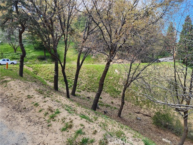 327 Davos Drive, Crestline CA: https://media.crmls.org/medias/f50c83ca-0c72-4bbd-bf5c-9cf291bf65fa.jpg