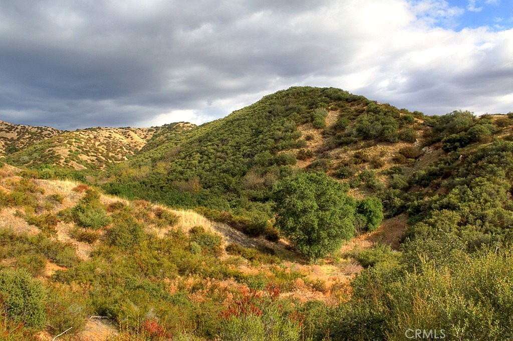 MLS #IG25034144 img 58