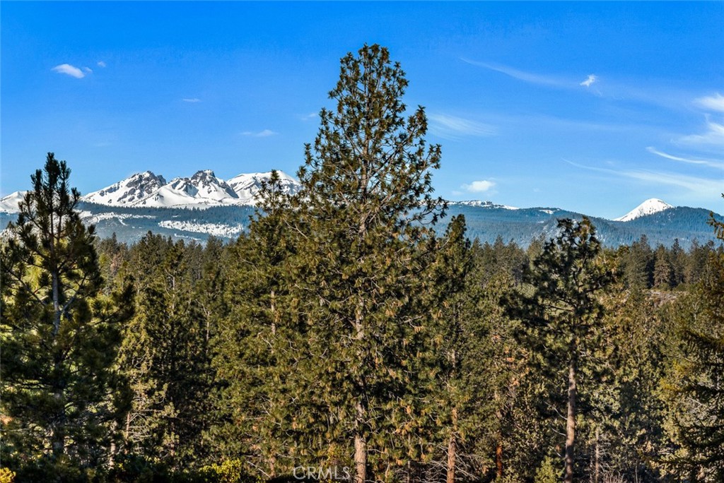 https://media.crmls.org/medias/f5193c37-0fde-4d06-ad21-942ae39dc7fa.jpg?preset=X-Large