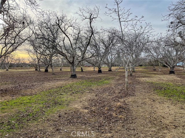 Detail Gallery Image 31 of 38 For 2854 Illinois Ave, Corning,  CA 96021 - 3 Beds | 2/1 Baths