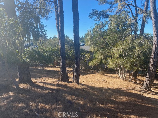 0 Alban Place, Cambria, California 93428, ,Land,For Sale,0 Alban Place,CRSC23200431