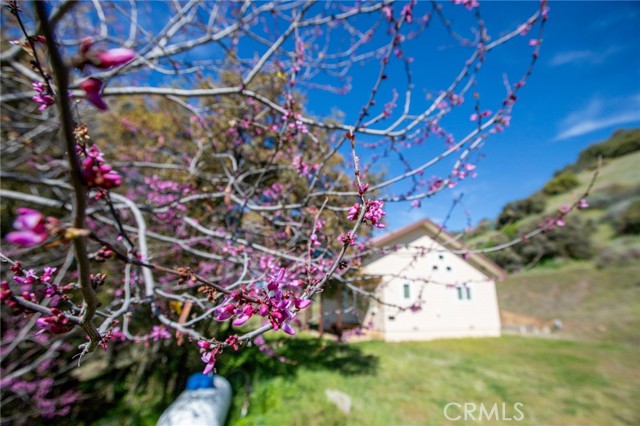 Detail Gallery Image 44 of 74 For 44981 Todd Eymann Rd, Miramonte,  CA 93641 - 1 Beds | 1 Baths