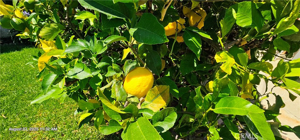 https://media.crmls.org/medias/f526acb3-4810-4c2b-9dbf-d24348d5a5e6.jpg?preset=X-Large