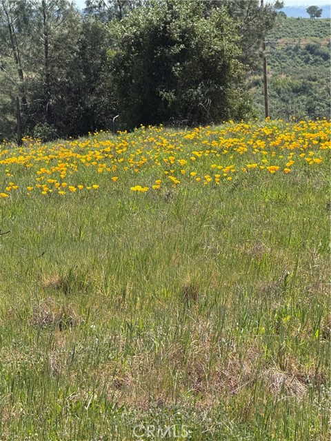 Front Image Thumbnail for CRPA26072106