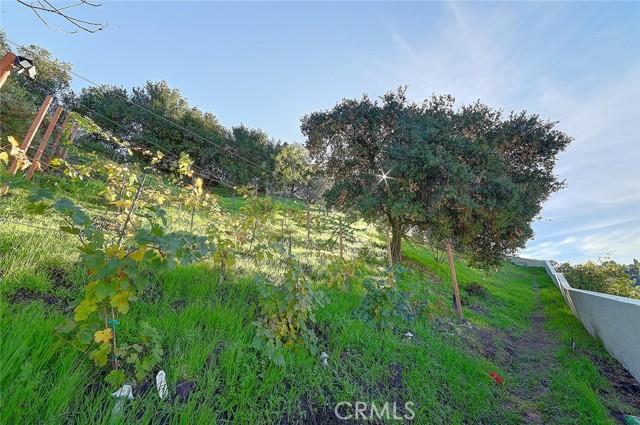 Detail Gallery Image 39 of 44 For 3952 Oakfield Dr, Sherman Oaks,  CA 91423 - 5 Beds | 4/1 Baths