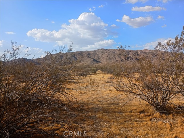 Front Image Thumbnail for CRHD26153394