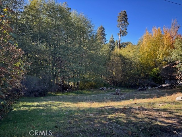 Front Image Thumbnail for CRCV25247185