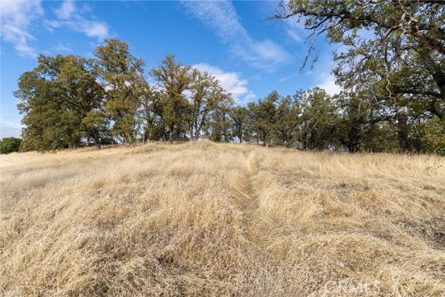 Detail Gallery Image 14 of 29 For 17333 Wagon Wheel Road, Corning,  CA 96021 - – Beds | – Baths