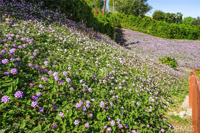 Detail Gallery Image 47 of 52 For 20171 Allentown, Woodland Hills,  CA 91364 - 3 Beds | 4 Baths