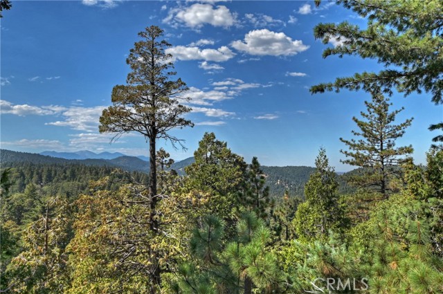 Detail Gallery Image 5 of 43 For 23796 Crest Forest Dr, Crestline,  CA 92325 - 4 Beds | 3 Baths