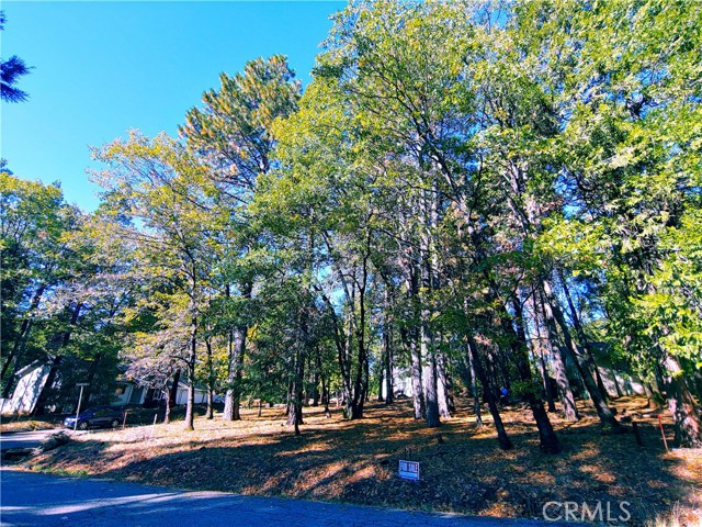 0 Racine, Magalia, CA, 95954 0 Racine, Magalia, CA, 95954