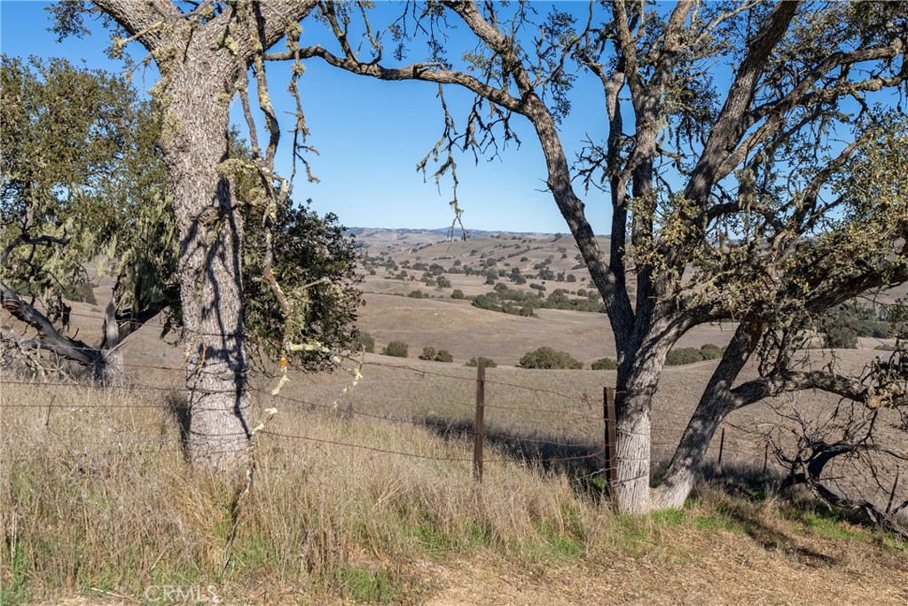 MLS #NS25262417 image #36