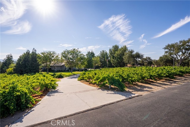 Detail Gallery Image 60 of 71 For 1991 Circle B Rd, Paso Robles,  CA 93446 - 5 Beds | 3 Baths