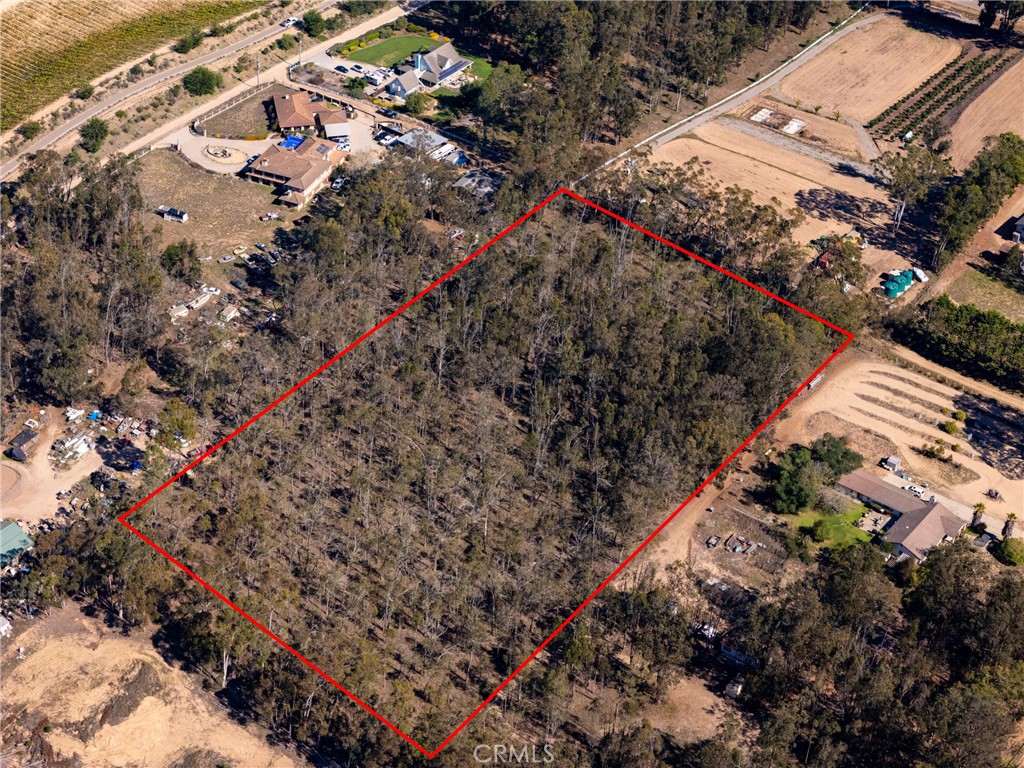 MLS #CV25251344 image #6