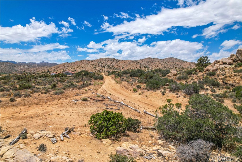 MLS #JT25246603 image #22