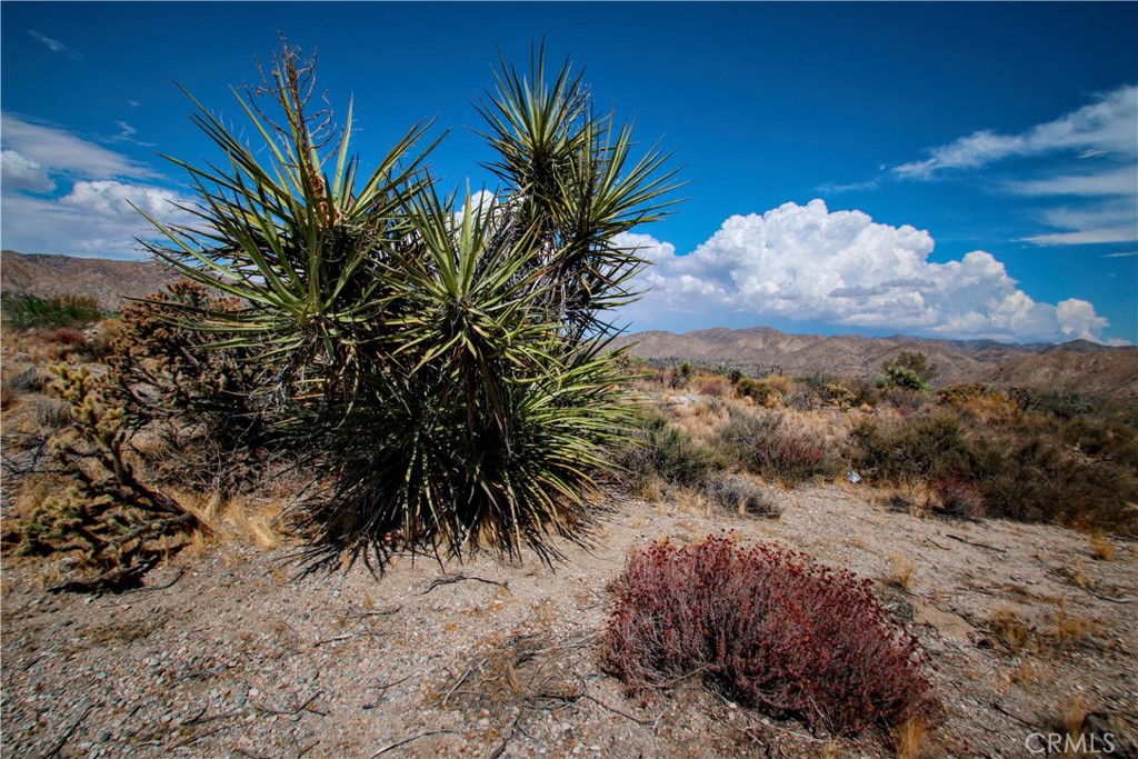 MLS #RS25195860 image #8