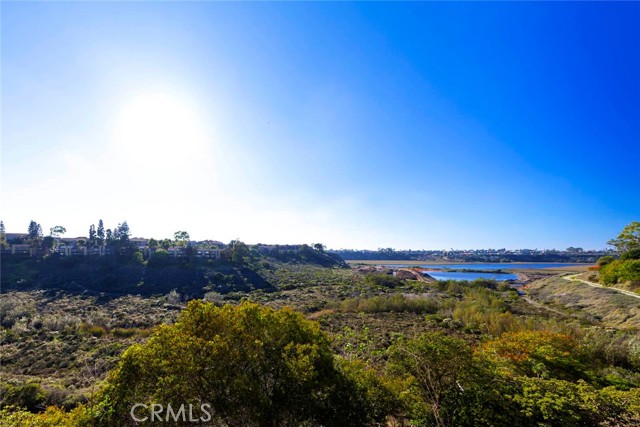 Front Image Thumbnail for CRNP25266379