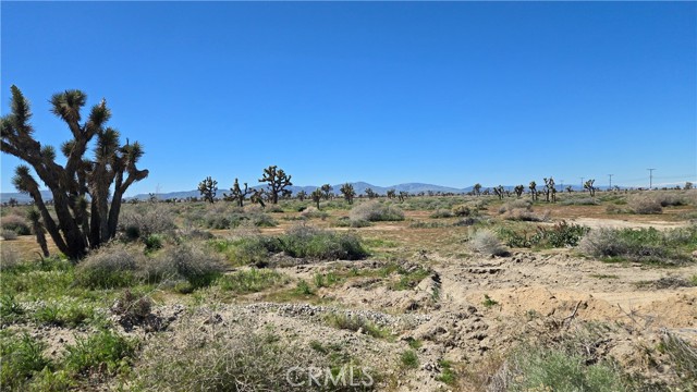 Detail Gallery Image 18 of 35 For 0 Palmdale Blvd & 75th St East, Palmdale,  CA 93553 - – Beds | – Baths