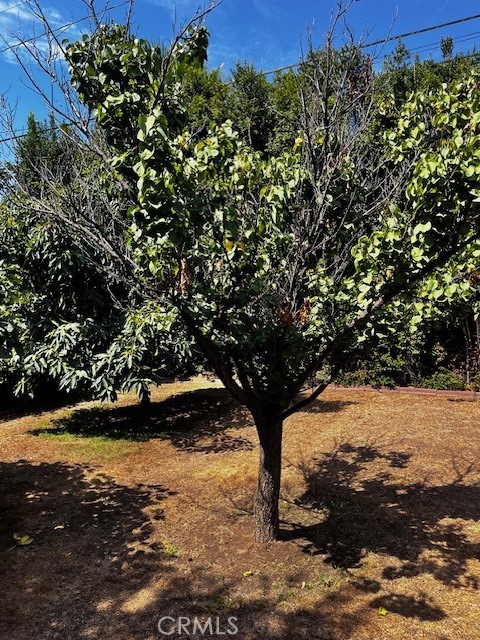 Detail Gallery Image 8 of 32 For 1015 Bilton Way, San Gabriel,  CA 91776 - 3 Beds | 1 Baths