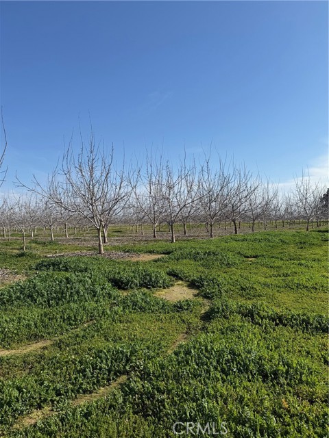 Detail Gallery Image 12 of 18 For 0 Mcfadden Ln, Chico,  CA 95928 - – Beds | – Baths