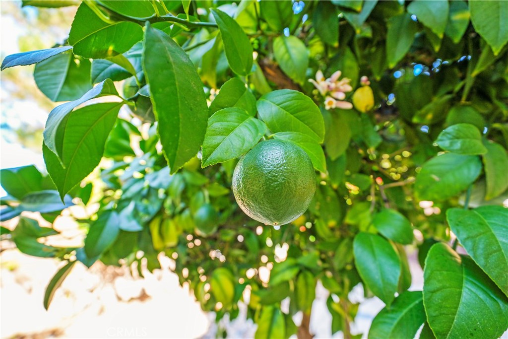 https://media.crmls.org/medias/f56a3e05-91c7-478a-85fe-d5cfa1441785.jpg?preset=X-Large