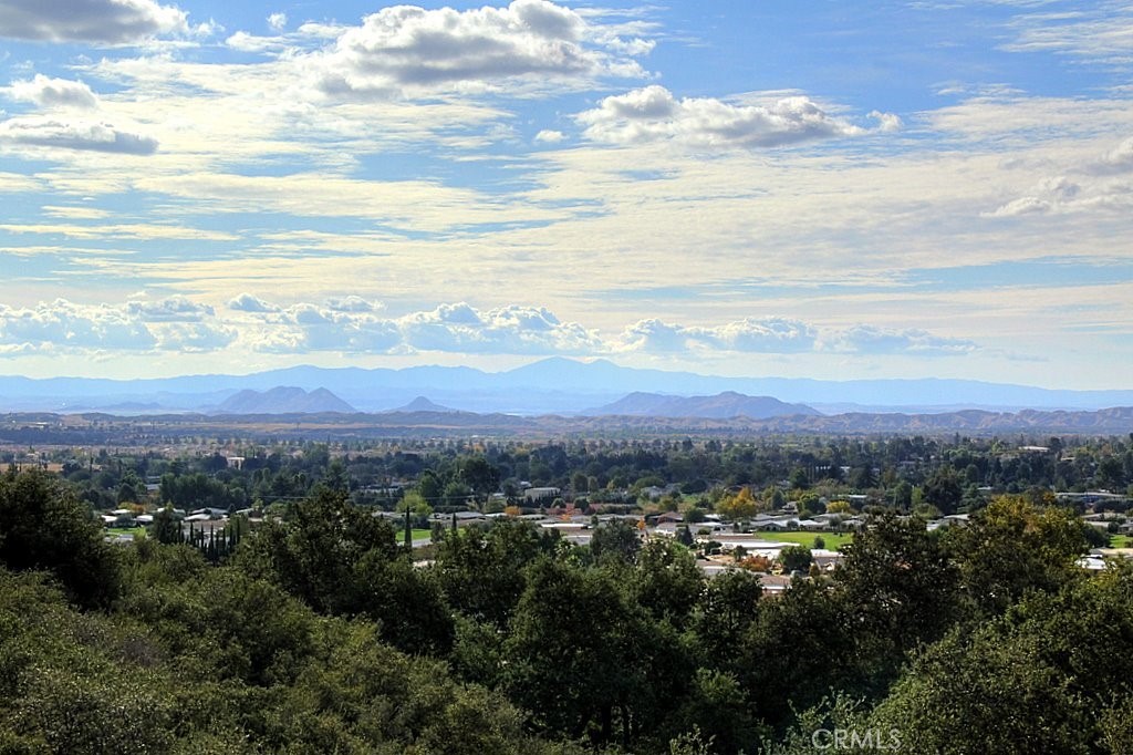 MLS #IG25034144 img 48