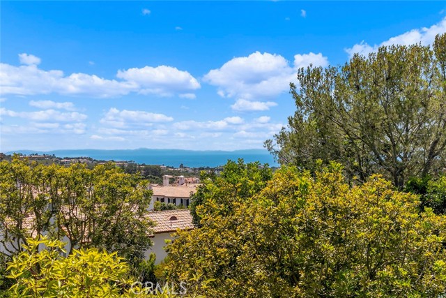 2 Agostino, Newport Coast CA: https://media.crmls.org/medias/f56c0f81-260f-4a8f-8cc4-c2b04600adb1.jpg