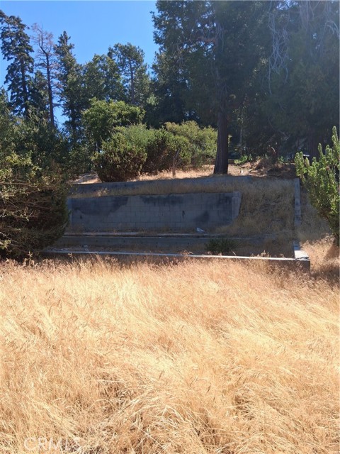 839 Arbula Drive, Crestline CA: https://media.crmls.org/medias/f5725829-19d1-4a27-bac1-f5c731a609b9.jpg