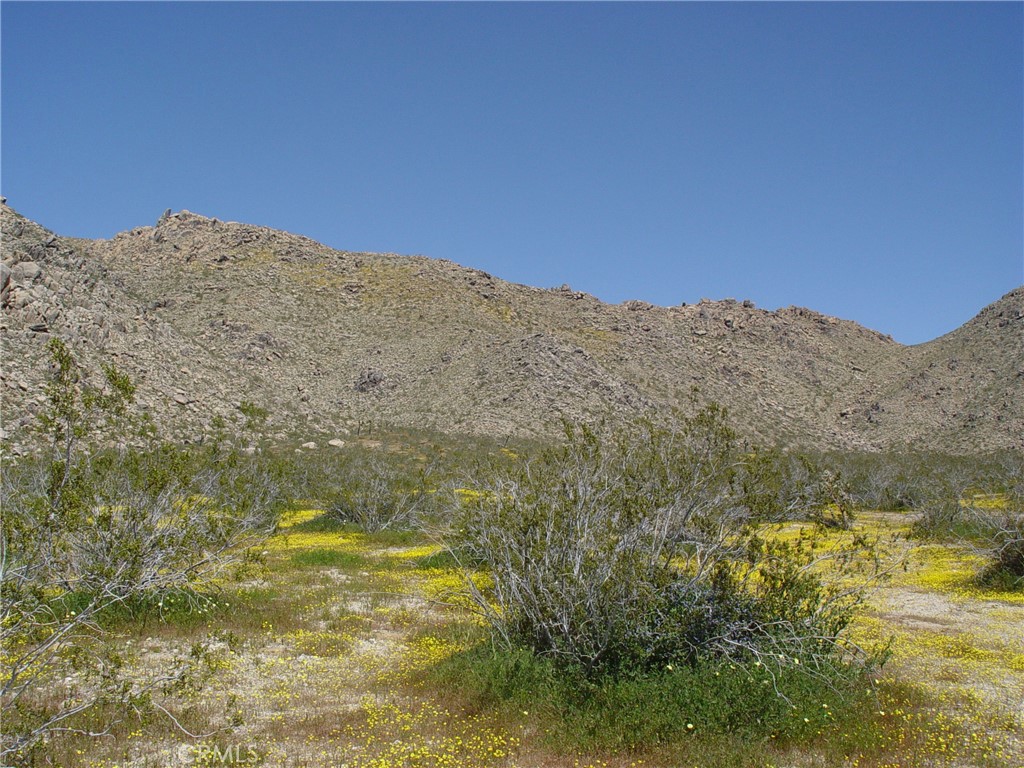 MLS #HD26154562 image #10