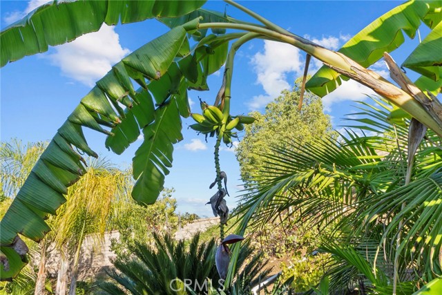 Detail Gallery Image 50 of 67 For 890 Lindamere, Simi Valley,  CA 93065 - 5 Beds | 4/1 Baths