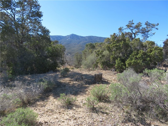 Detail Gallery Image 6 of 19 For 155 Lot #155 Buckthorn, Mountain Center,  CA 92561 - – Beds | – Baths