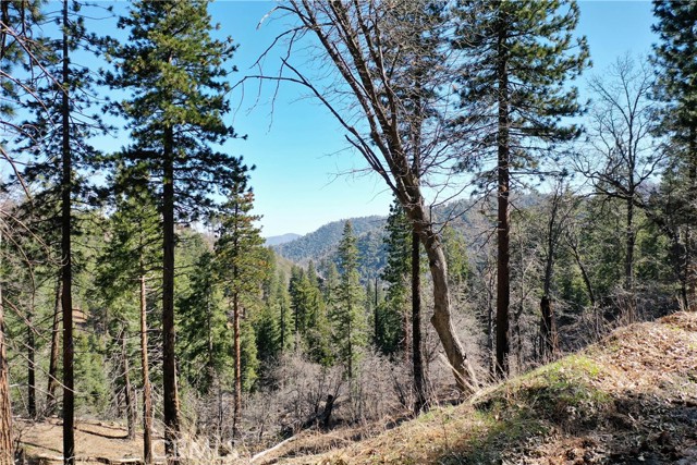 Detail Gallery Image 33 of 36 For 31741 Wagon Wheel Dr, Running Springs,  CA 92382 - 3 Beds | 2 Baths