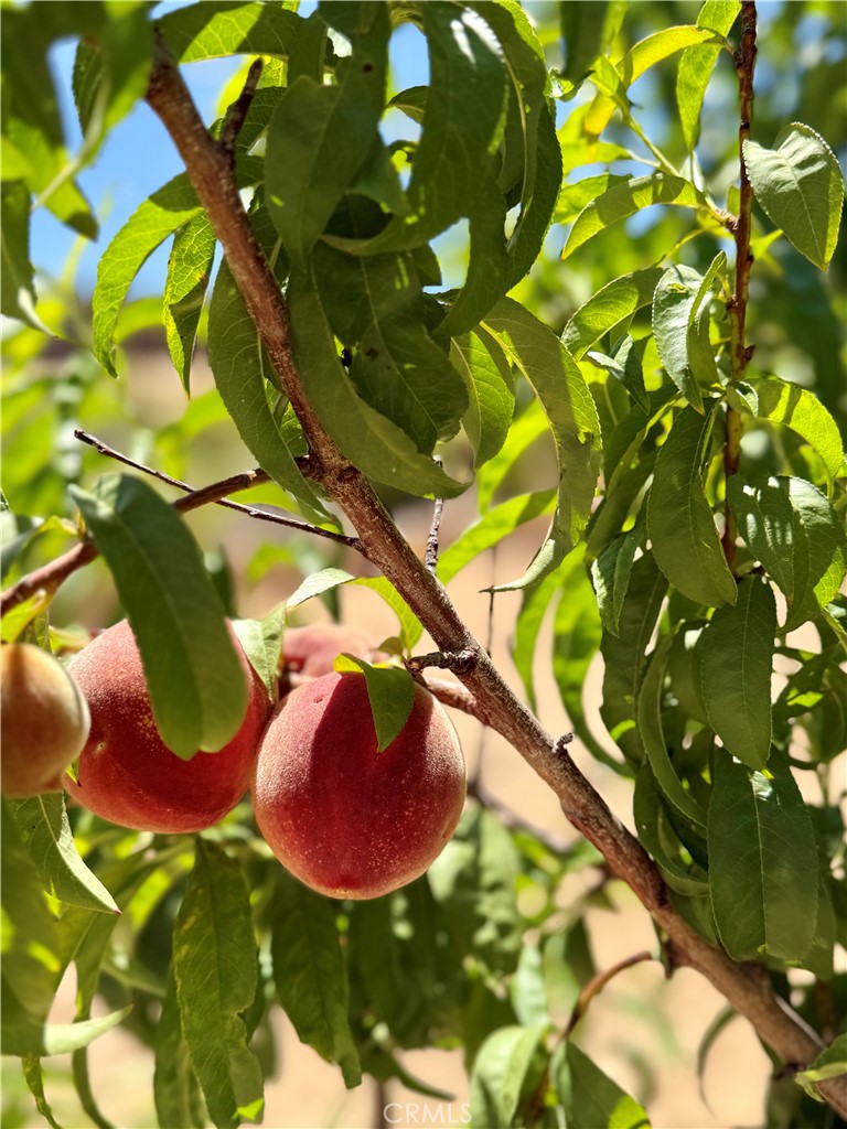 https://media.crmls.org/medias/f5883450-7844-40bb-b50a-79f56f17bd7a.jpg?preset=X-Large