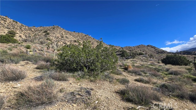 Detail Gallery Image 21 of 31 For 0 Pinon Road to Mescal Highlands, Llano,  CA 93544 - – Beds | – Baths