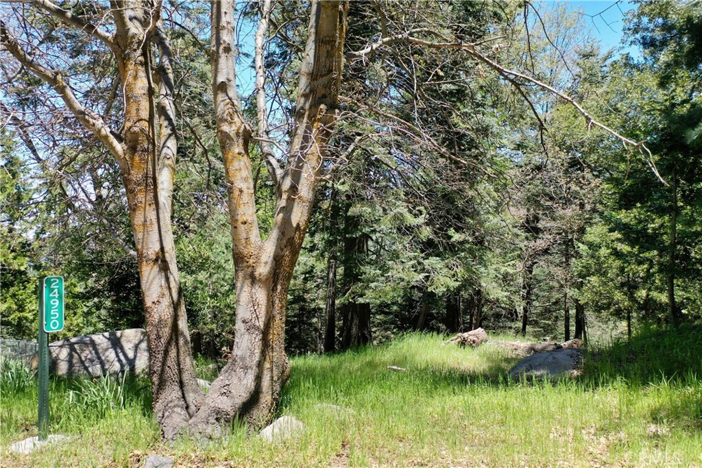 https://media.crmls.org/medias/f5924114-9f09-485a-a577-e88b7b155f3b.jpg?preset=X-Large