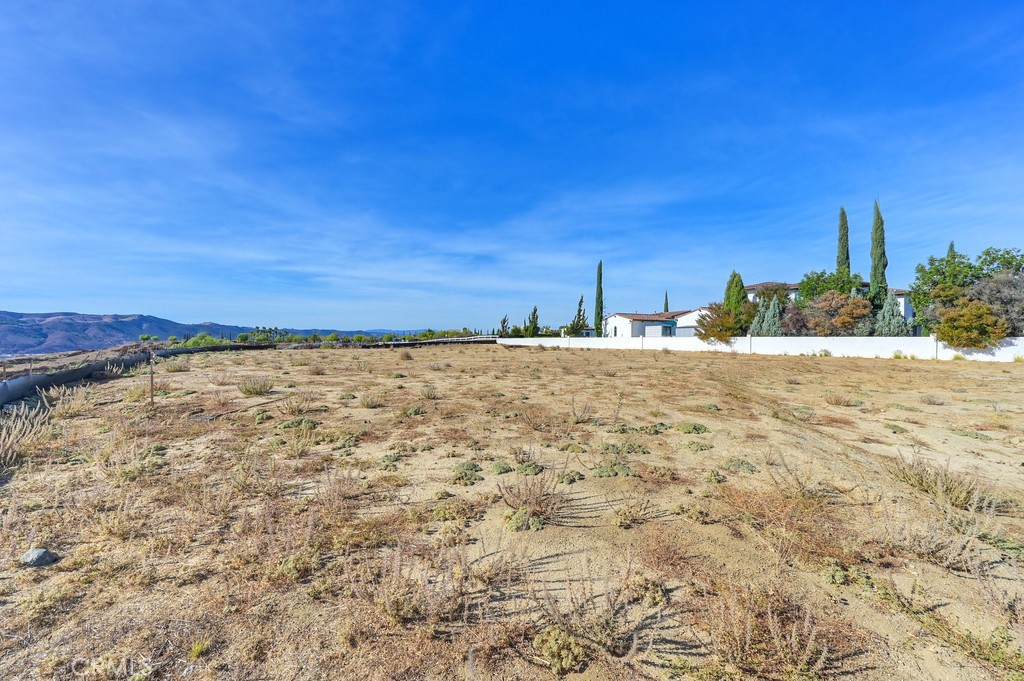 MLS #IV25076497 img 20