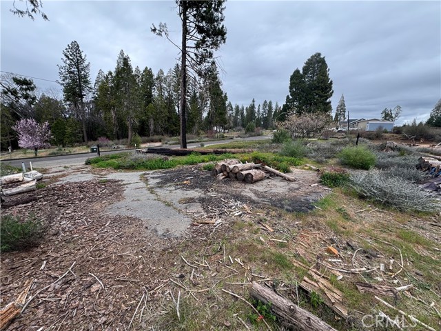 Image 6 of 11 For 13914 Cluster Court