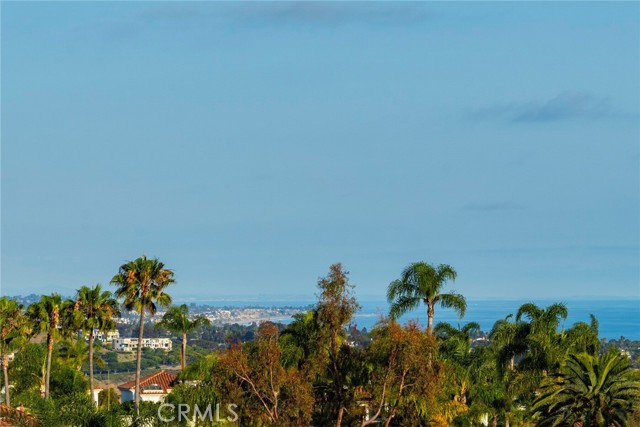 14 Glastonbury Place, Laguna Niguel CA: https://media.crmls.org/medias/f595f838-7325-4008-8d68-1564a639f1ef.jpg