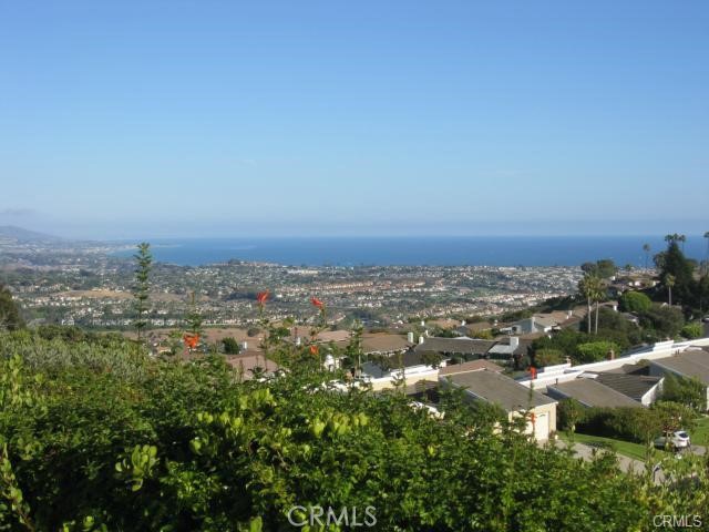 Detail Gallery Image 27 of 32 For 31262 Palma Dr, Laguna Niguel,  CA 92677 - 2 Beds | 2 Baths