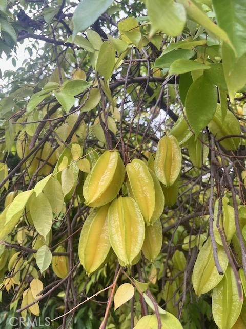 Detail Gallery Image 9 of 9 For 6752 Oak Ave, Arcadia,  CA 91007 - 3 Beds | 2 Baths