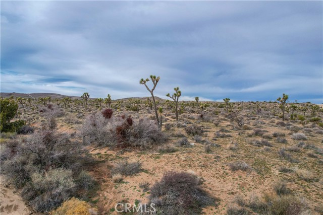 Detail Gallery Image 19 of 32 For 4824 Elata Ave, Yucca Valley,  CA 92284 - – Beds | – Baths