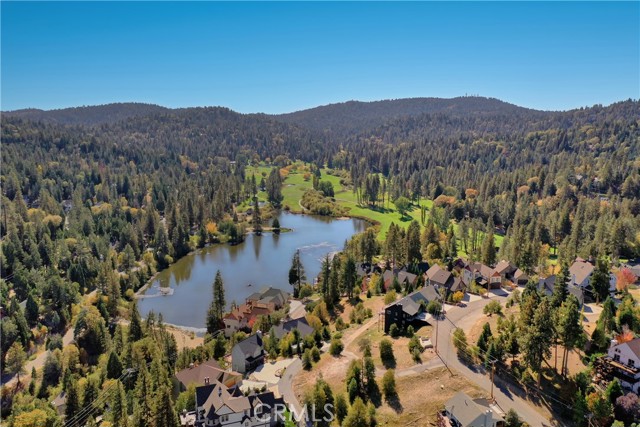 788 Brentwood Drive, Lake Arrowhead, California 92352, ,Land,For Sale,788 Brentwood Drive,CRRW23204974